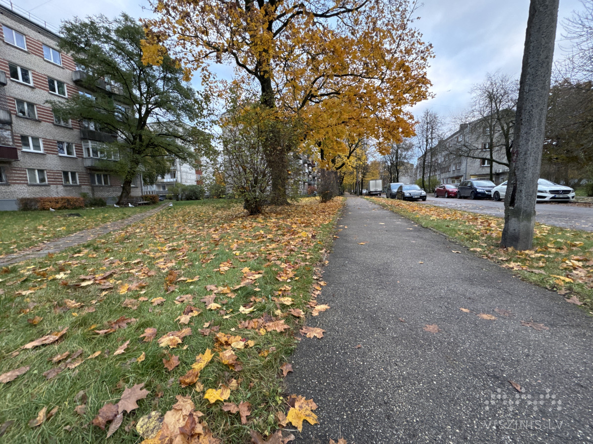 Vecmīlgrāvja iela foto 1