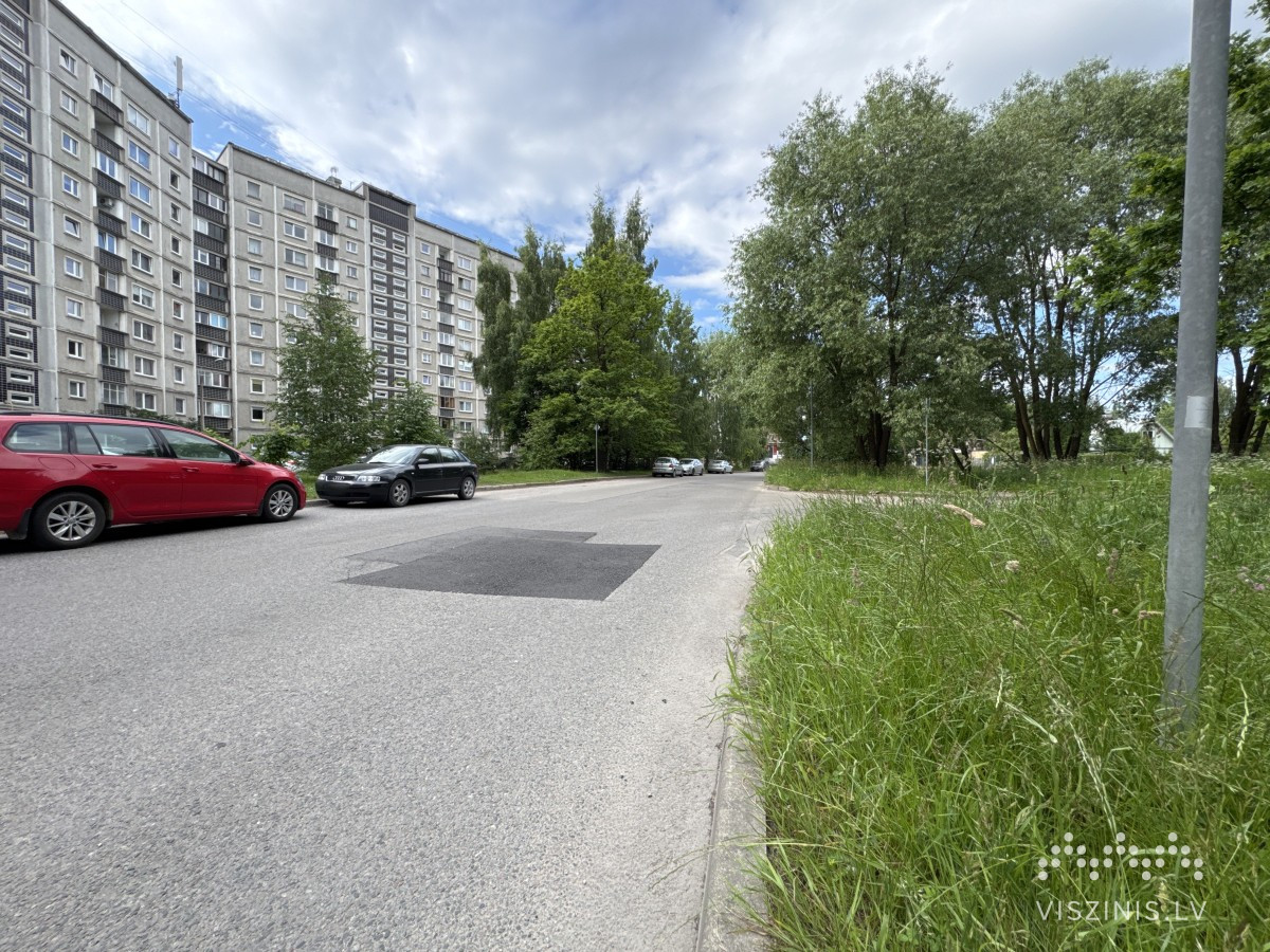 Jāņa Endzelīna iela foto 1
