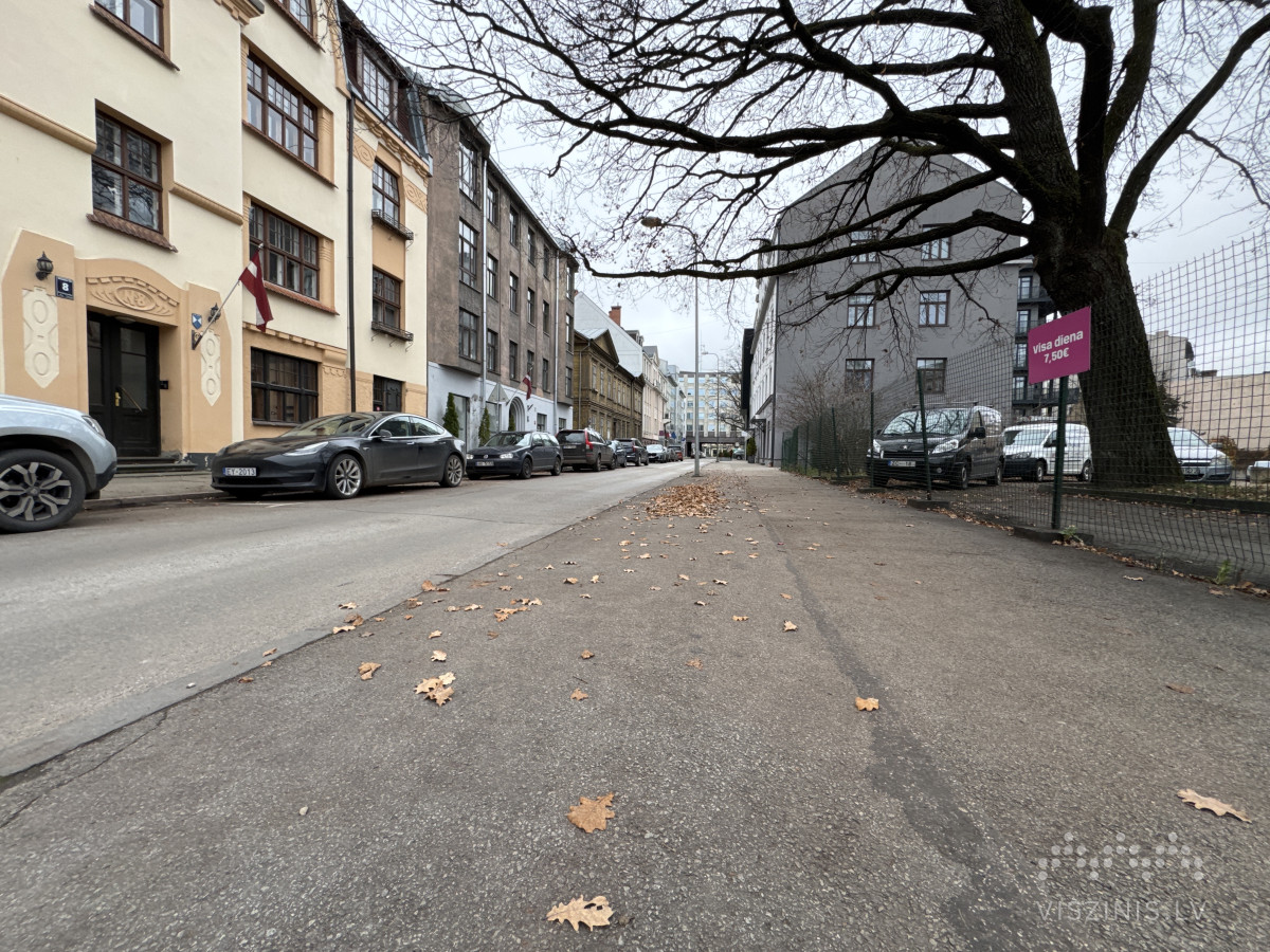 Mednieku iela foto 1